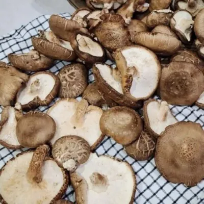 표고버섯 못난이 1kg 버섯세트 생표고버섯