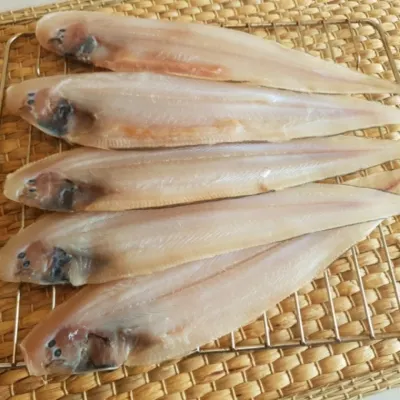 반건조 박대 20미 대