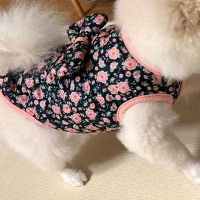 강아지 고양이 할매 장미 김장조끼 누빔 애견의류 S에서 2XL