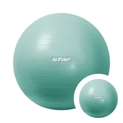 짐볼 ANTI-BURST 55cm 민트 마사지볼 짐볼운동 홈트