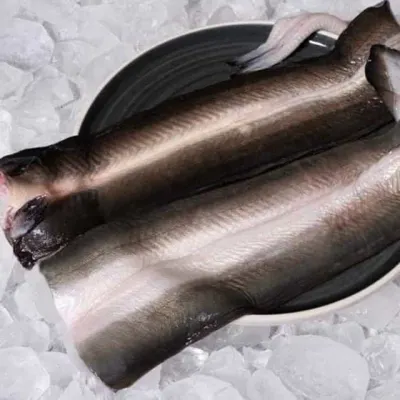 자포니카 민물장어 실속형 1kg 장어선물 손질장어 양식민물장어