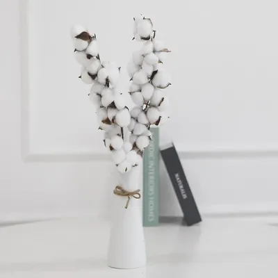 제이킨 10송이 목화꽃 가지 조화 인테리어 소품 목화솜꽃 목화