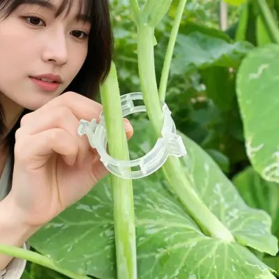 오이 토마토 줄기 고정 클립 식물 지지대 원예 농사 재배 도구 10P