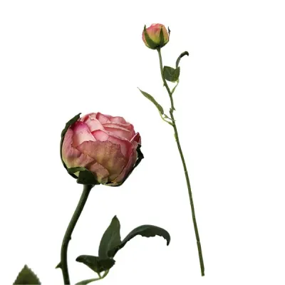매직크린 자나 장미조화 핑크 1P