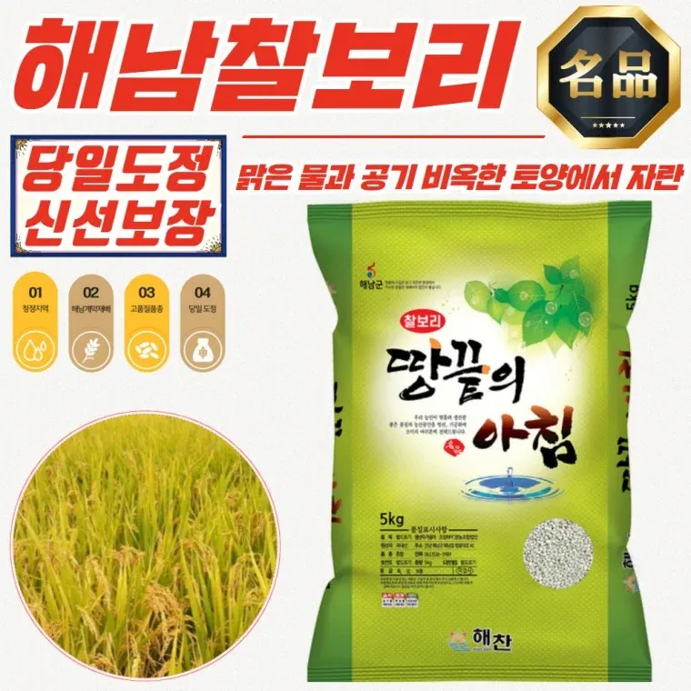 청정 해남 당일도정 찰보리 5kg