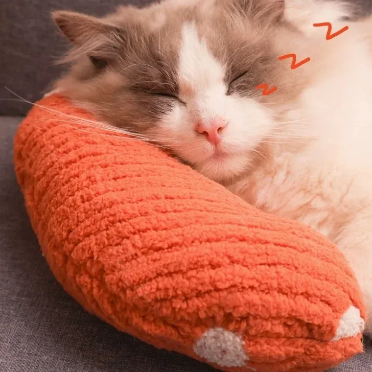 강아지 고양이 베개 목베개