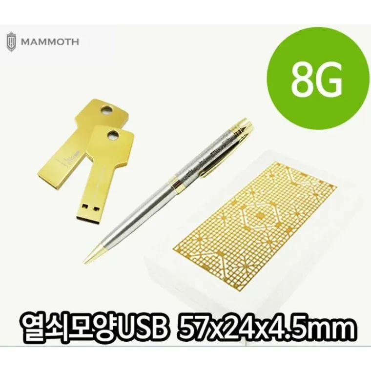USB 열쇠 모양 메모리 볼펜 세트 8G 포장 훈민정음