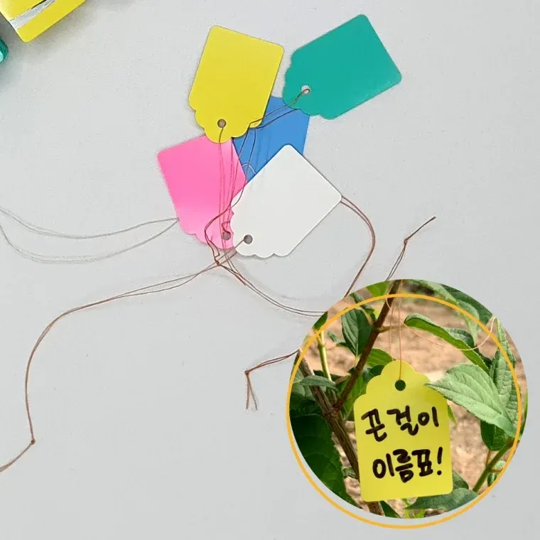 끈 걸이형 식물 태그 이름표 중 100P