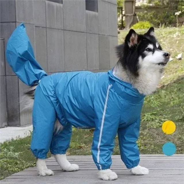 대형견 강아지 올인원 우비 후드 강아지 레인코트 강아지산책 애견 방수