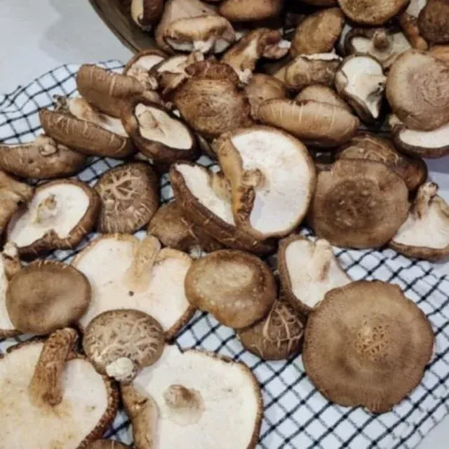 못난이 표고버섯 3kg