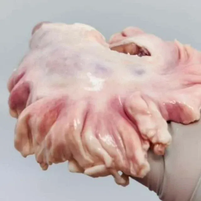 도래창 500g 냉동돼지고기 돼지국밥재료