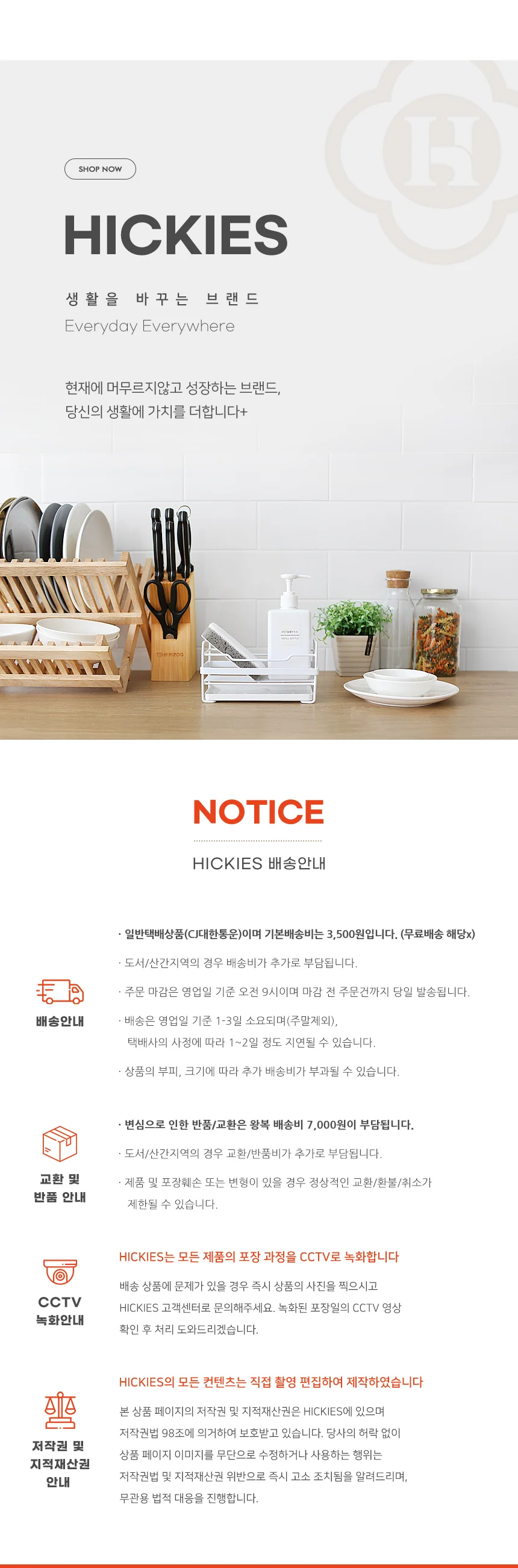 스위트바질 셰프가든 베란다 실내 텃밭 가꾸기 화초 재배 DIY 원예 식물 상세3