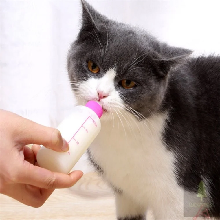 고양이 강아지 젖병 애완동물젖병 고양이젖병 강아지젖병소형