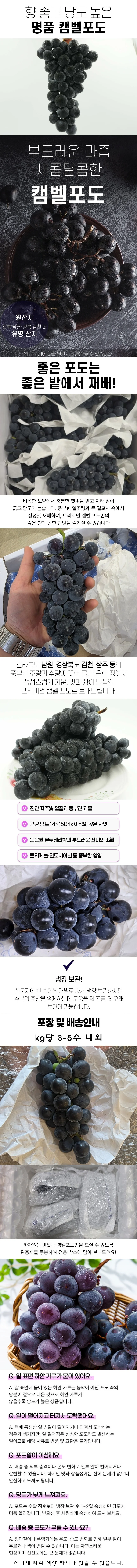 캠벨 포도 1kg 상세1
