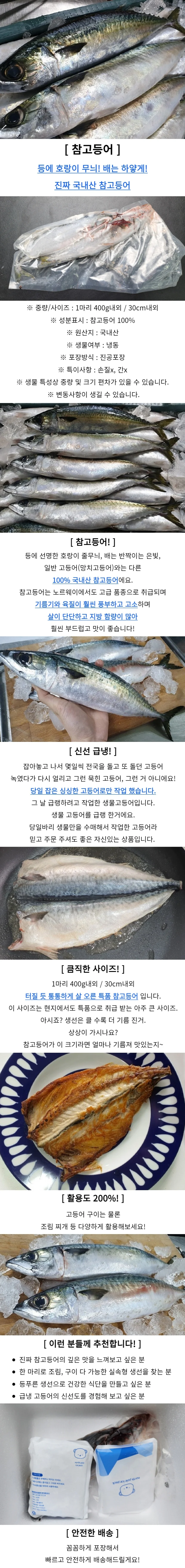 국내산 냉동 고등어 2미 상세1