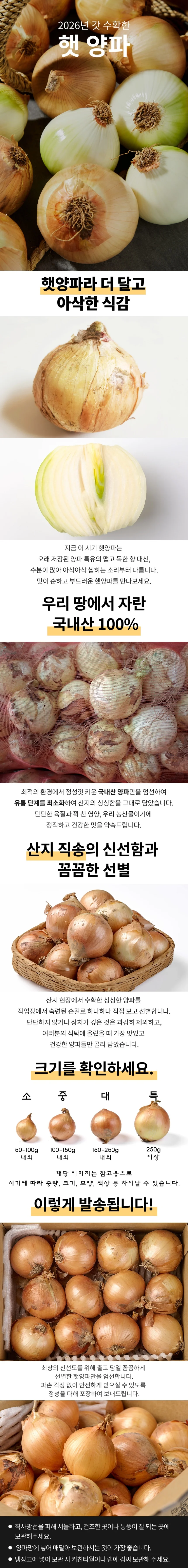 국내산 양파 5kg 특 상세1