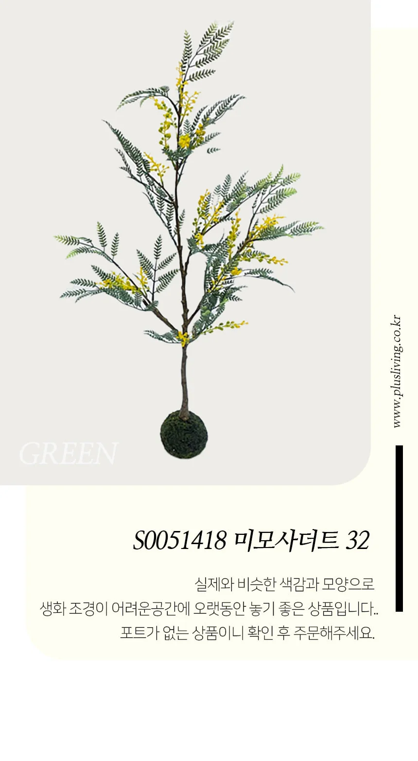 미모사더트 32 상세1