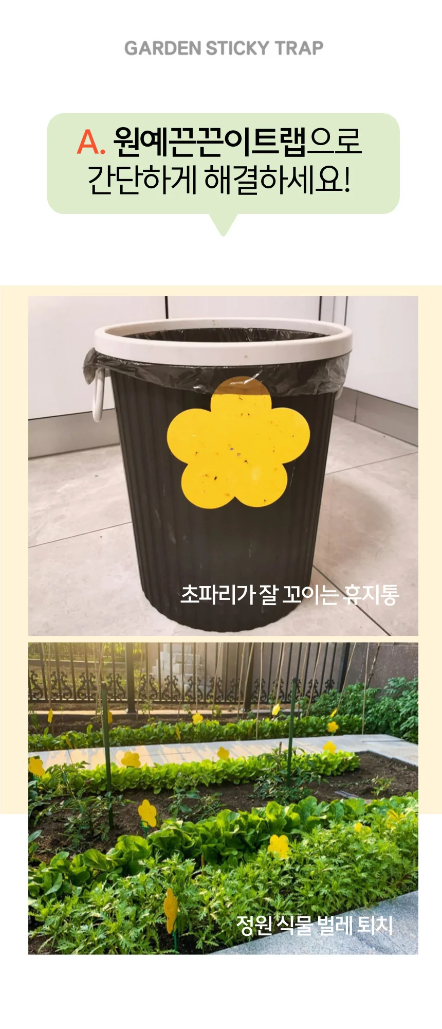 뿌리파리 파리 날파리 초파리 화분 끈끈이트랩 상세2