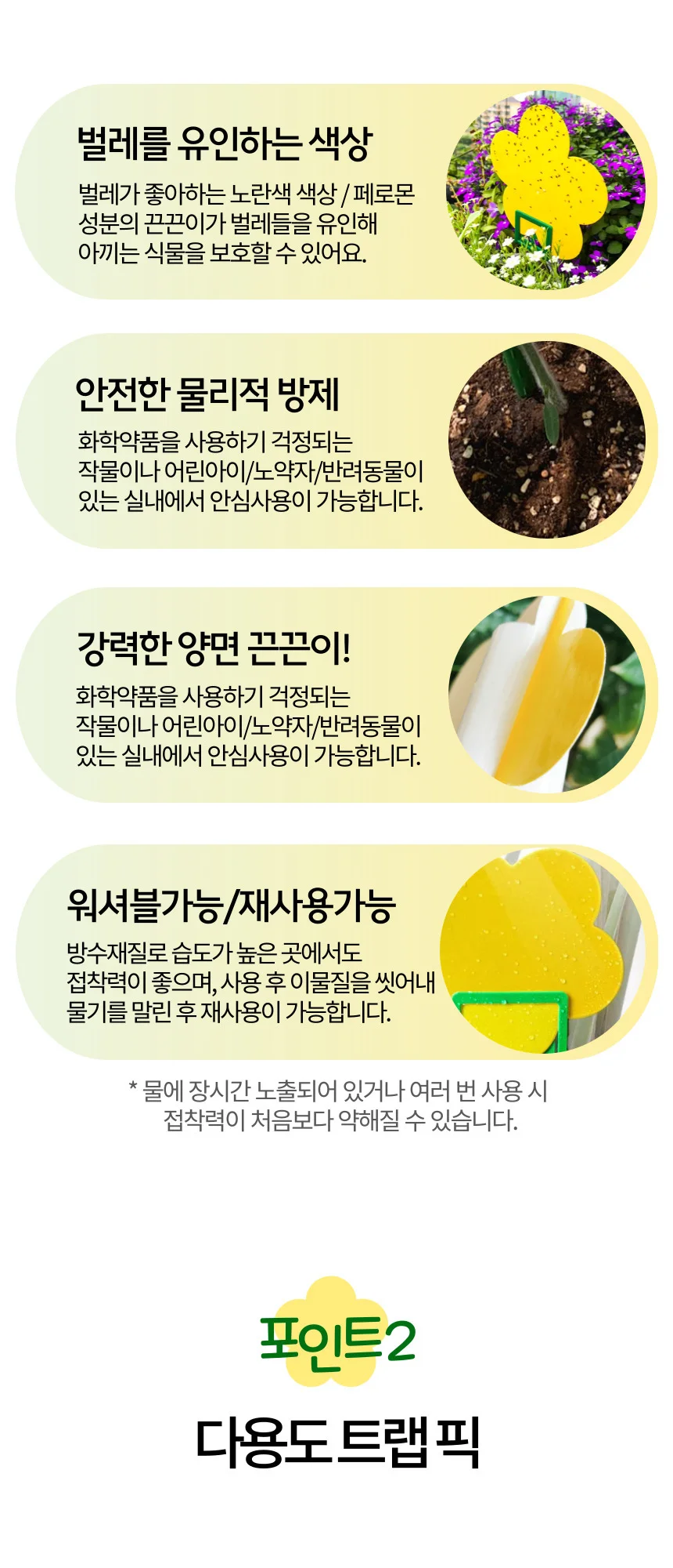 뿌리파리 파리 날파리 초파리 화분 끈끈이트랩 상세5