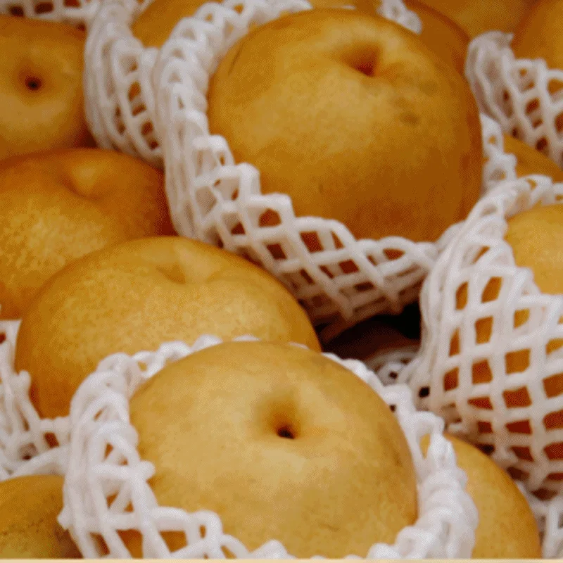 과일 배 26년 햇배 원황 가정용 3Kg delicious pear 상세2