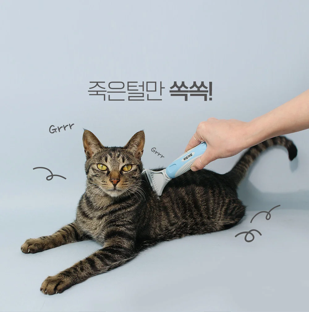 뚜또가또 그루밍 브러쉬/반려동물 죽은털 제거/브러쉬 상세3