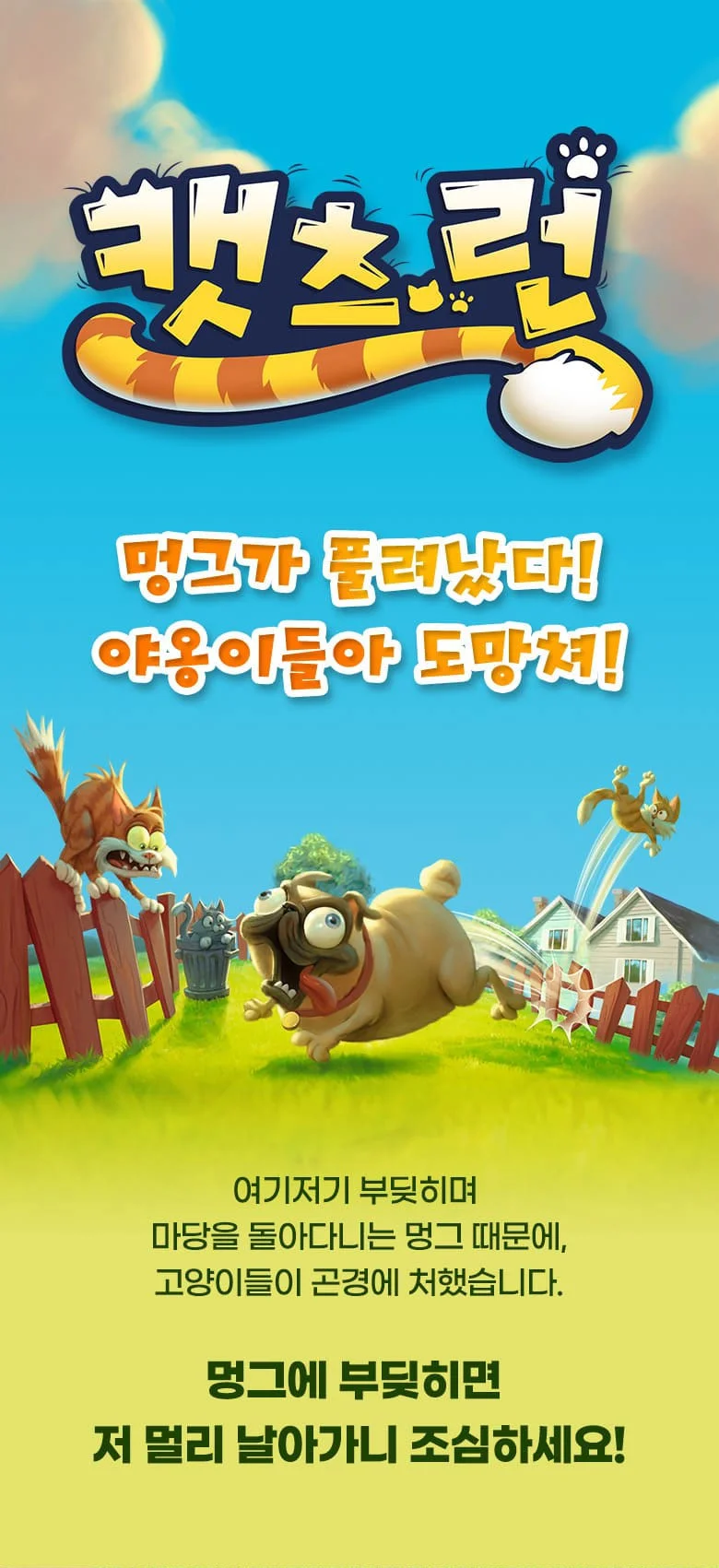 캣츠 런 초등 학생 어린이 가족 보드게임 커플 패밀리 게임 상세2