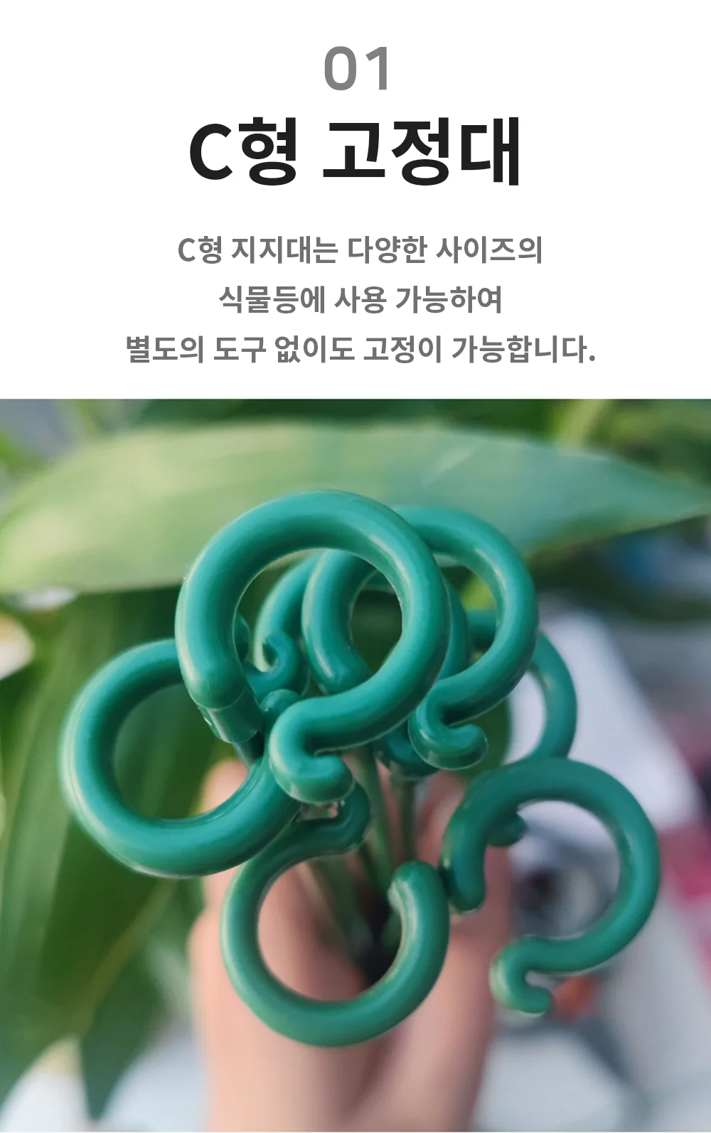 화분 식물지지대 C형 화분지지대 작물지지대 화분고정 상세3