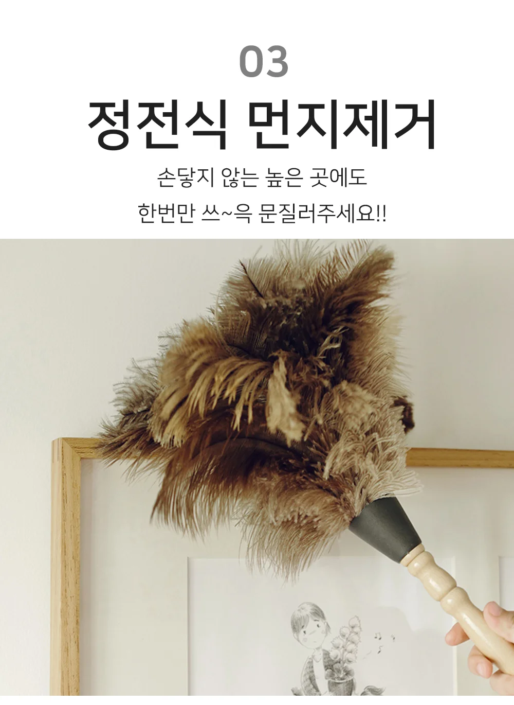 타조털 먼지털이 청소솔 브러쉬 먼지털이개 키보드청소 차량먼지떨이개 상세4