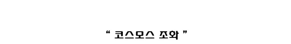 생화같은조화 코스모스 조화 인테리어 실크플라워 꽃장식 부케 꽃다발 상세1