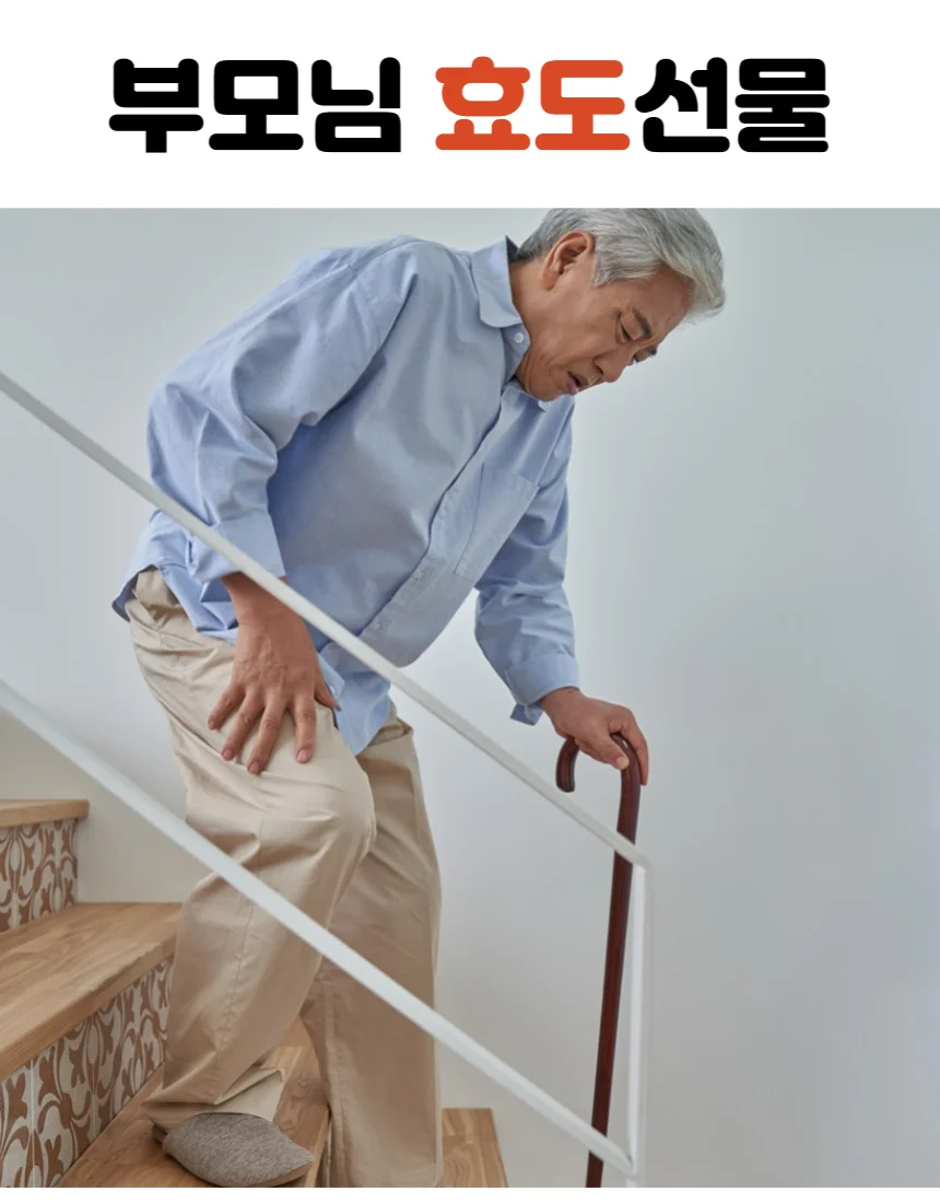 보스웰리아추출분말 400g 상세4