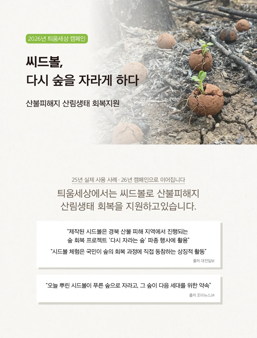 씨드볼 만들기 키트 식물씨 씨앗키우기 텃밭씨앗 씨앗선물 상세1