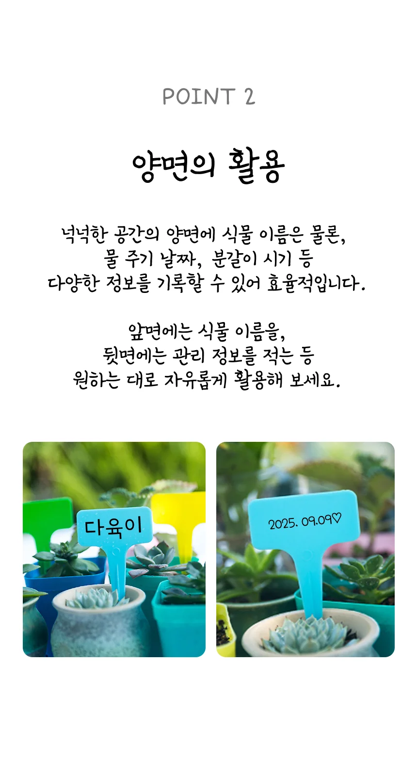 네임택 화분이름표 팻말 10P 화분꽂이 미니팻말 미니텃밭 상세3