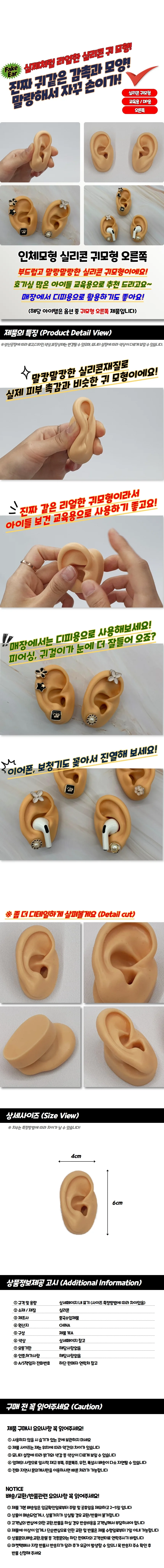 인체모형 실리콘 귀모형 오른쪽 상세1
