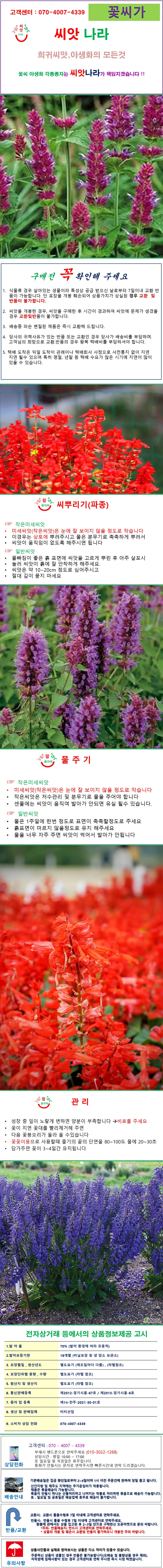 /숙근사루비아 혼합 씨앗 15립 상세1