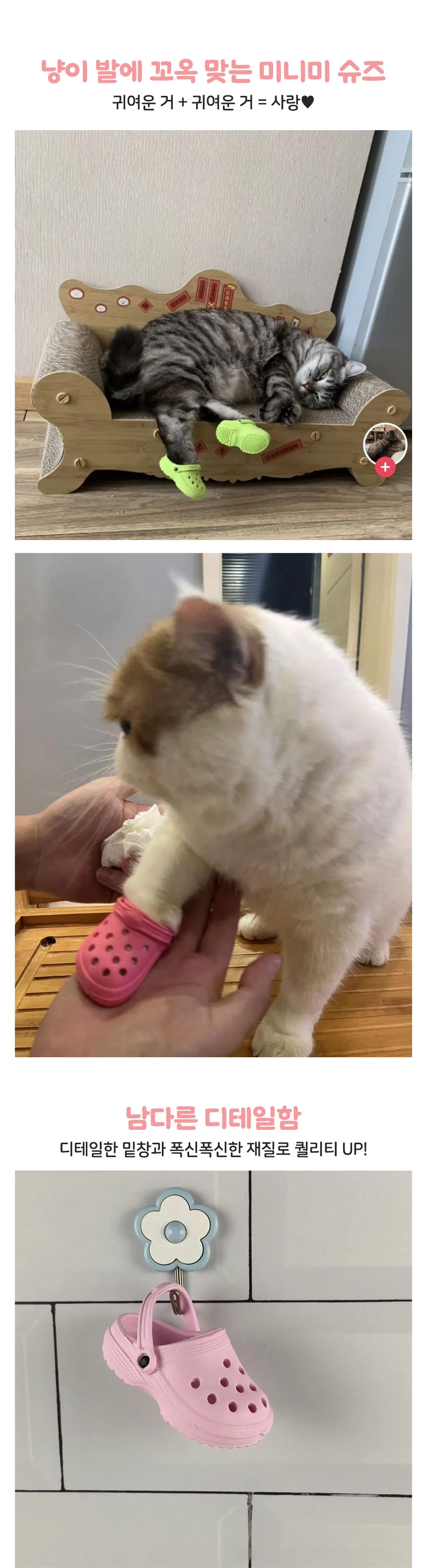 PET 고양이 냥록스 애견 신발 촬영 소품 상세2