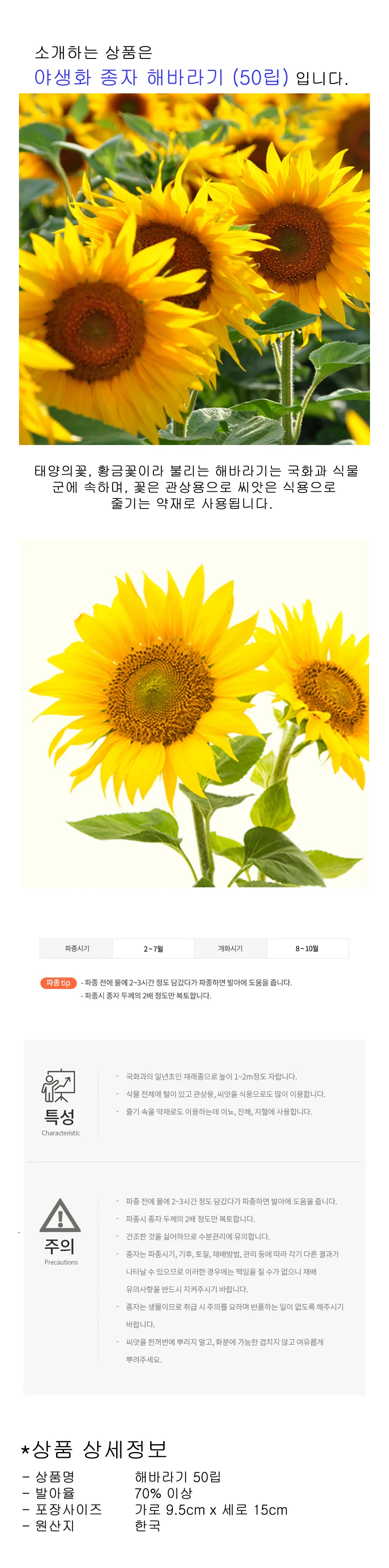 씨앗팜 정원 야생화 꽃씨 종자 해바라기 판매 상세1