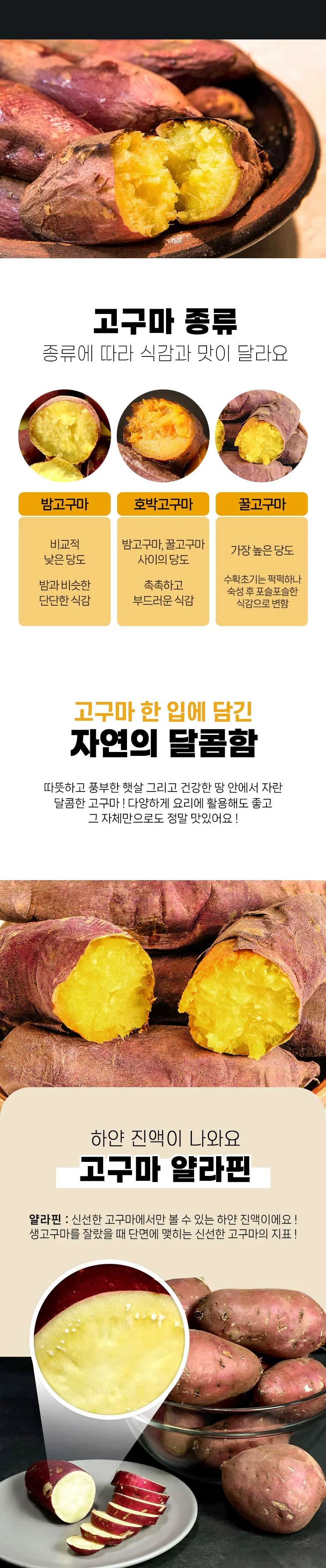 해남 저온큐어링 고당도 세척 꿀고구마 3kg 중 상세3