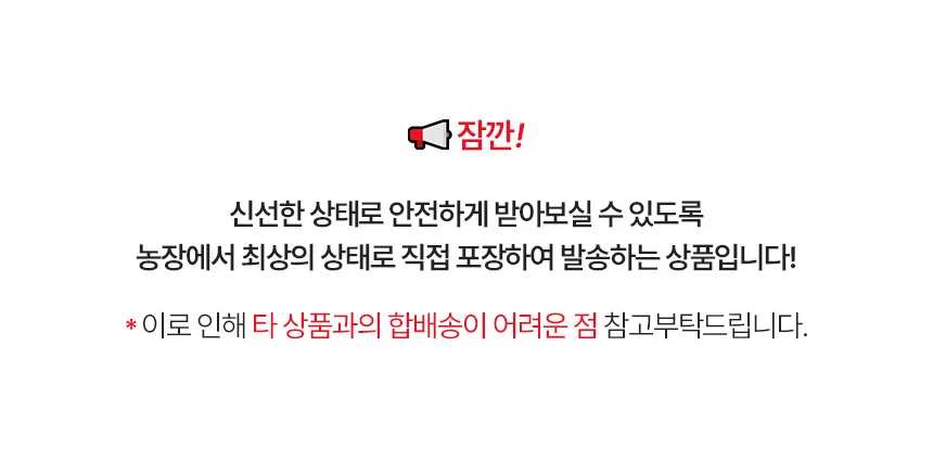 알배기 배추 오렌지 미니 2개 상세1