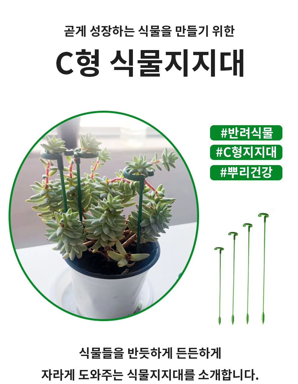 화분 식물지지대 C형 화분지지대 작물지지대 화분고정 상세1