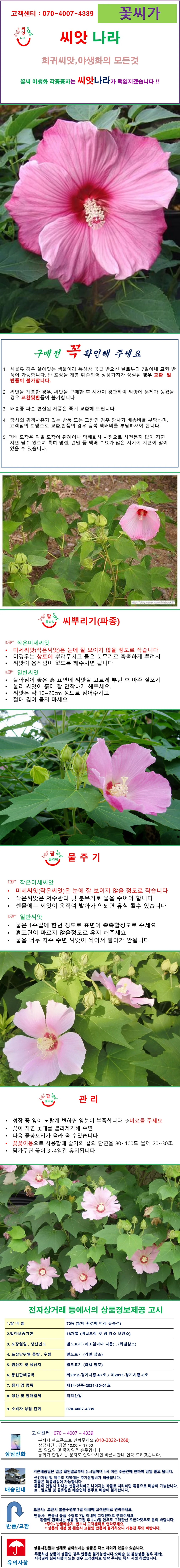 목부용 씨앗 5립 상세1