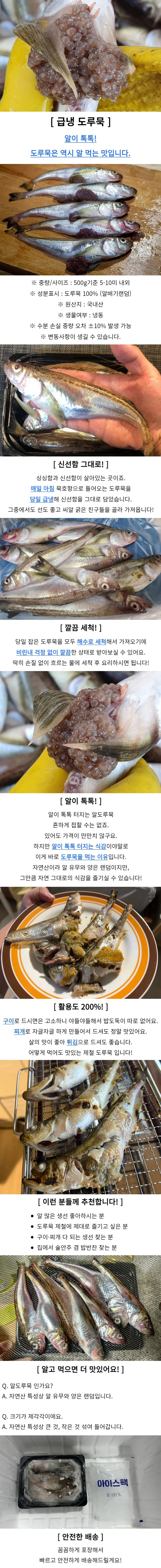 냉동 도루묵 500g 상세1