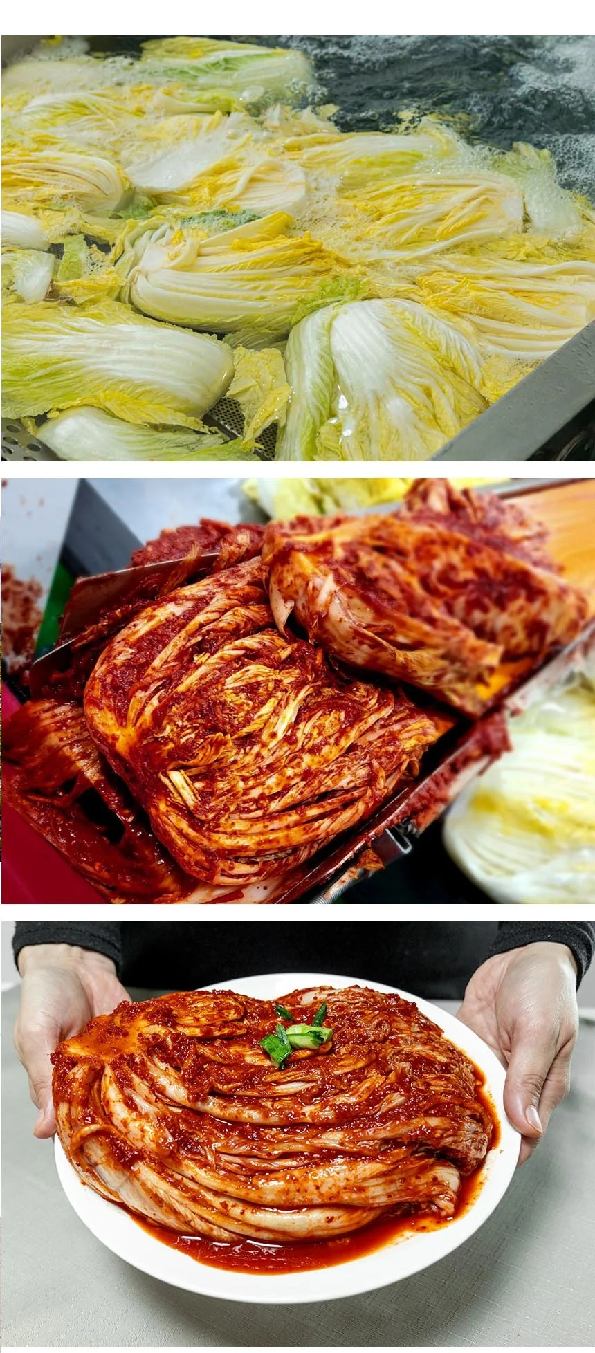 전라도식 매운 실비김치 겉절이 3kg 상세4