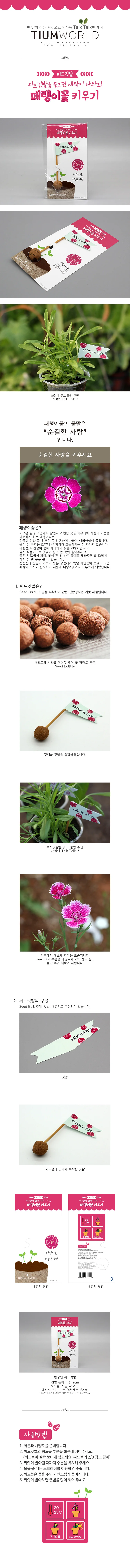 씨앗깃발 패랭이꽃 씨앗봉투 꽃씨앗 꽃씨 씨앗선물 상세1