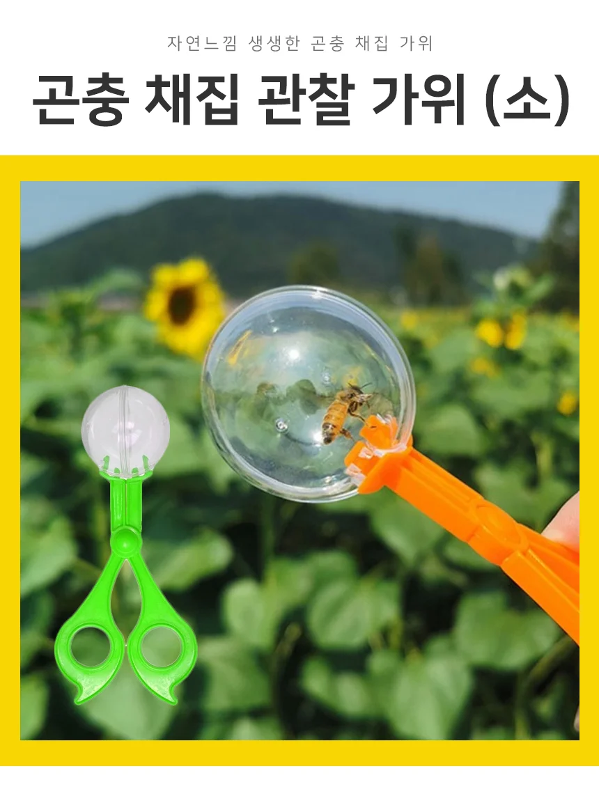 곤충채집 관찰가위 곤충핀셋 곤충집게 곤충관찰도구 상세2