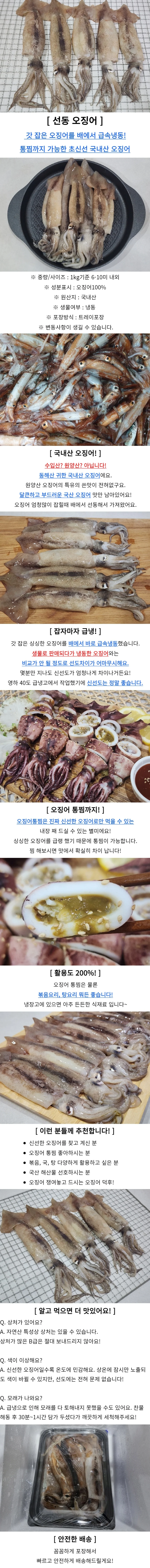 국내산 통찜용 선동오징어 2kg 상세1