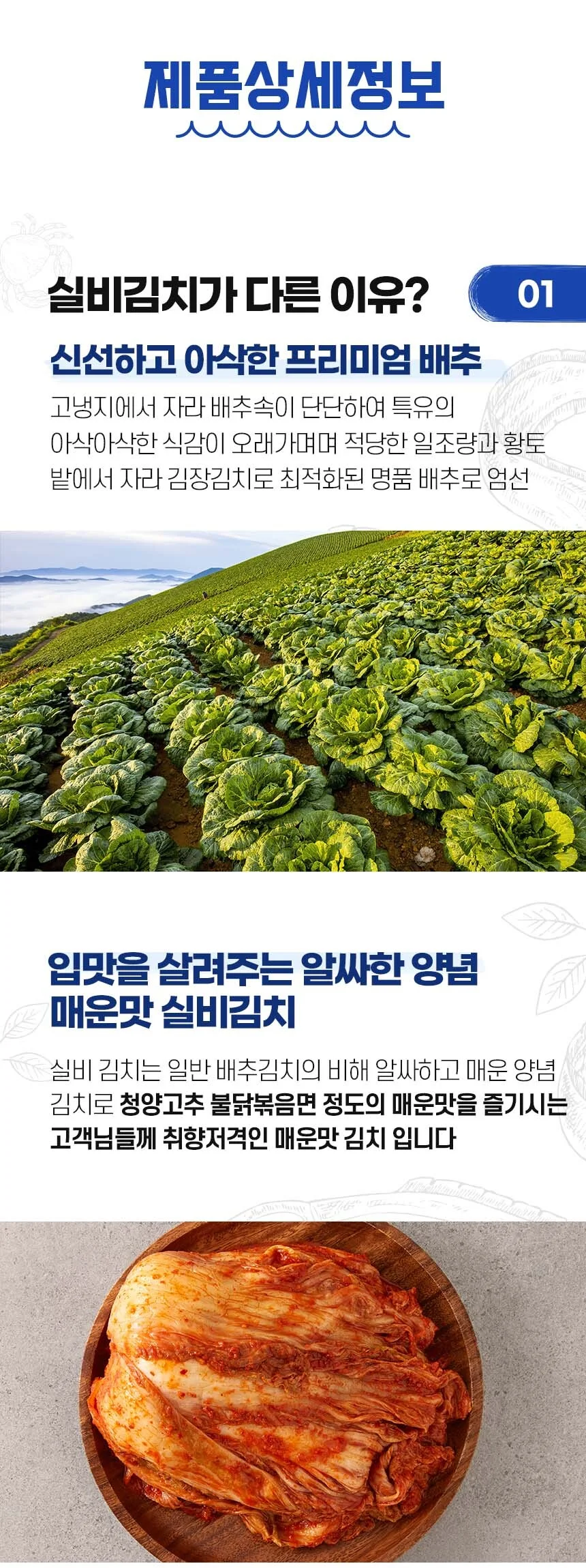 전라도식 매운 실비김치 겉절이 3kg 상세5