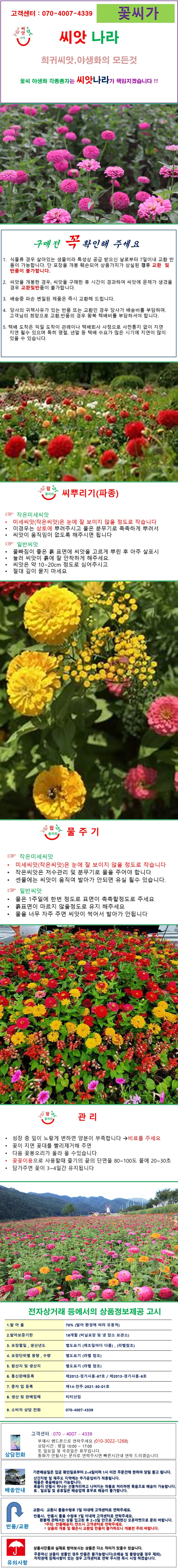 씨앗나라백일홍 엘레강스 혼합 씨앗 100립 상세1