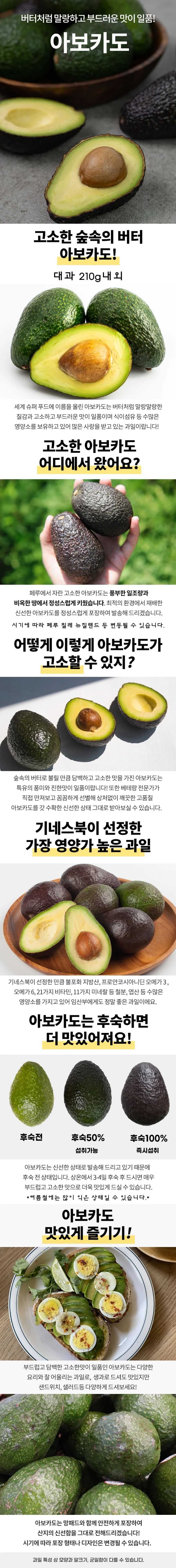 아보카도 대과 15개 상세1