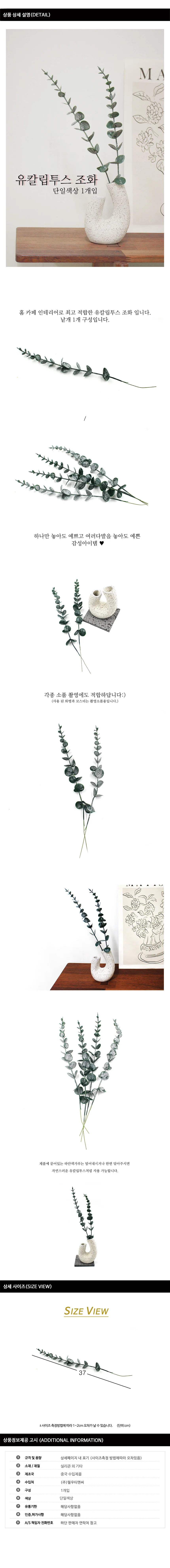 조화 유칼립투스 상세1