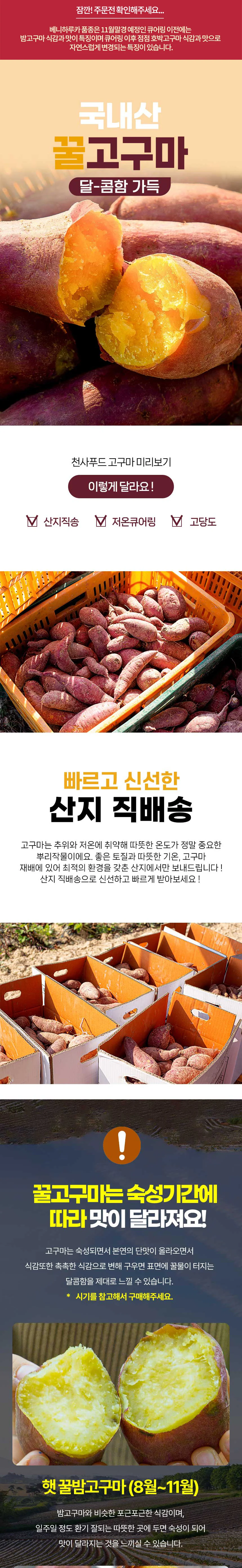 해남 저온큐어링 고당도 세척 꿀고구마 3kg 중 상세1
